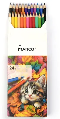 Produktbild von Ölbuntstifte 24 Farben Vorgespitzt Bruchsicher Holz Set für Malen Zeichnen Schule Kunst