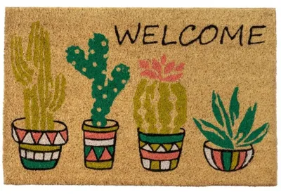 Image de HowHomely : Paillasson antidérapant, tapis de porte, tapis d'entrée, 60x40 cm, en fibres de coco