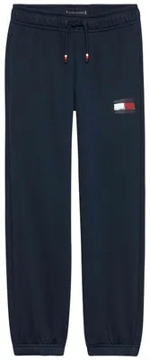 Obrázok produktu pre Tepláky Tommy Hilfiger KB0KB10113 pre Chlapčenské