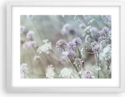 Produktbild von Gerahmtes Poster - Weißer Rahmen - Wiese Knoblauch Blume - 40x30 cm - Wand Bild - Wanddeko - Wandbilder - Kunstposter - Wandposter - Bilderrahmen - Bilder - Kunstdruck - Wandbild - P2WAA40x30-4177