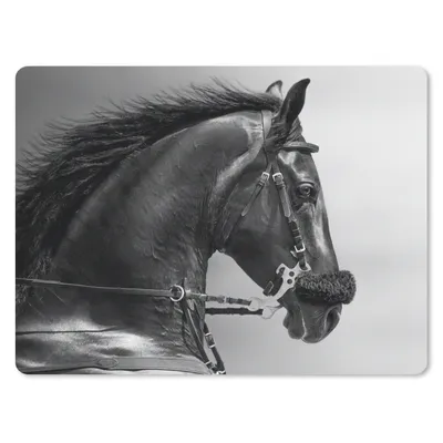 Produktbild von MuchoWow® Mauspad Mousepad Pferde - Schwarz - Porträt - Tiere 23x19 cm - Mousepads - Maus Mat - Pad - Mausunterlage - Schreibtischunterlage - Mauspad