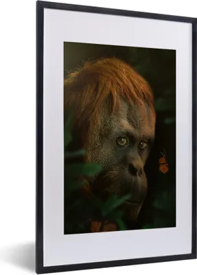 Produktbild von MuchoWow® MuchoWow® Gerahmtes Poster Dschungel - Affe - Schmetterling 40x60 cm - Poster mit zchwarzem Bilderrahmen - Poster in Rahmen