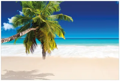Produktbild von Wallario Wandbild aus Acryl, 90 x 60 cm, freischwebende Optik - Südseestrand in der Karibik mit Palme