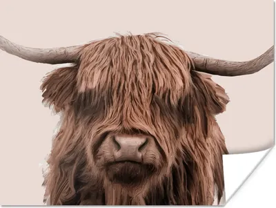 Produktbild von MuchoWow® Poster Schottischer Highlander - Kuh - Vlies 160x120 cm - Foto Plakat
