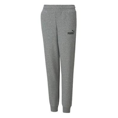 Produktbild von Puma Hosen Ess Logo Pants TR, 58697403, Größe: 128