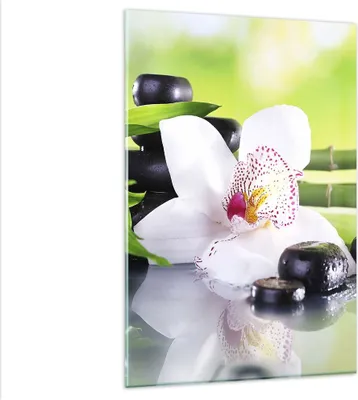 Produktbild von Bilder auf glas - Einteilig - blume orchidee - 80x120cm - Glasbilder - Wandbilder - Bilder - zum Aufhängen bereit - Wanddekoration aus Glas - Glas Bilder - Wandbild auf Glas - GPA80x120-3659