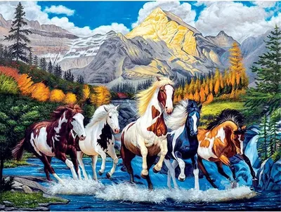 Produktbild von Diamantmalerei: Rötelbraunes Pferd, das einen Fluss entlangläuft. Kreatives Motiv. 30x40 cm