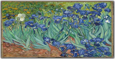 Produktbild von Coloray - Bild aus Glas - Glasbilder - 100 x 50 cm - Wanddekoration Küche Glasblock mit Bild Dekoration Wohnzimmer Gehärtetes Glas - Van Gogh Iris