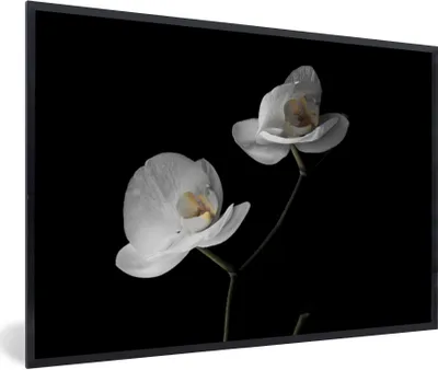 Produktbild von MuchoWow® Gerahmtes Poster Orchidee - Blumen - Schwarz - Weiß - Stilleben 90x60 cm - Poster mit Schwarzem Bilderrahmen Wandposter Rahmen Foto Bilder - Fotorahmen - Foto-Plakat