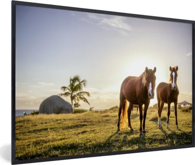 Produktbild von MuchoWow® MuchoWow® Gerahmtes Poster Pferde - Sonne - Gras 90x60 cm - Poster mit zchwarzem Bilderrahmen - Fotorahmen - Foto-Plakat