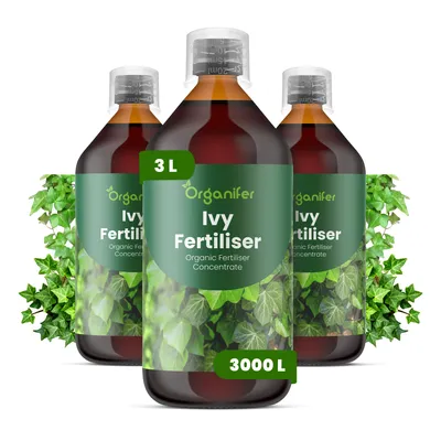 Obrázek produktu pro Brečtan Tekuté Hnojivo 3x1 L – 2-1-8 NPK – Pro Brečtan – Podporuje Rovnomerný Růst & Robustný Vývin – Organifer
