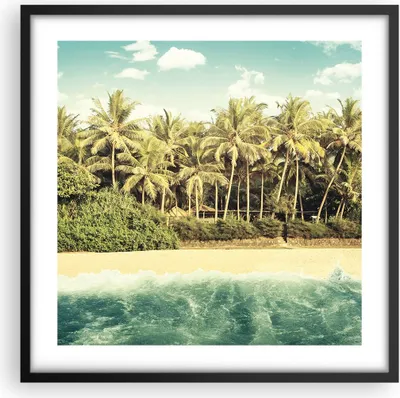 Produktbild von Gerahmtes Poster - Schwarzer Rahmen - Natur Strand Palmen - 50x50 cm - Wand Bild - Wanddeko - Wandbilder - Kunstposter - Wandposter - Bilderrahmen - Bilder - Kunstdruck - P2BAC50x50-4915