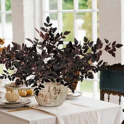 Produktbild von Famanu Kunstpflanzen Herbstdekoration - 3 Stück, 80 cm, künstliche Blätter, dekorative Zweige