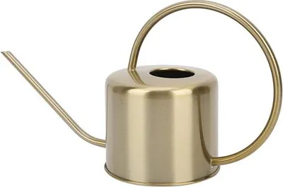 Image de Arrosoir en acier inoxydable de 1 300 ml pour bonsaïs et fleurs