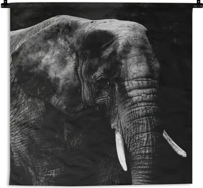 Produktbild von MuchoWow® Wandteppich Wandbehang Elefant - Tiere - Schwarz - Weiß 150x150 cm Tapisserie Dekoration Wandtuch - Wohnaccessoires - Modernes