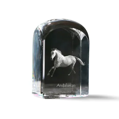Immagine prodotto di Andaluso cristallo sigillo con cavallo Art-Dog