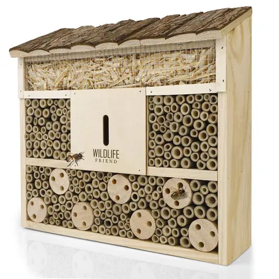Zdjęcie produktu dla Wildlife Friend I Bee Hotel – domek dla owadów – 29,5 x 28 x 10 cm – domek z litego drewna bez impregnacji dla pszczół, biedronek i złotooków – wiszący domek dla owadów i pomoc w gniazdowaniu