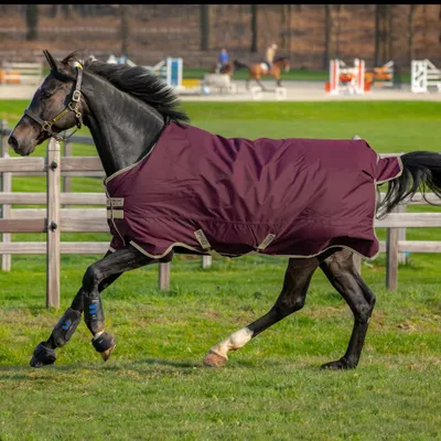 Produktbild von Horseware Amigo Hero Ripstop Lite 0g Turnout Decke wasserdicht Fig/Navy&Tan HW 20, Horseware Deckengröße:160 cm / 7´0