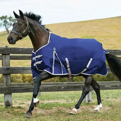 Produktbild von Weatherbeeta Comfitec Essential Standard Medium 220g - navy/silver/red, 140