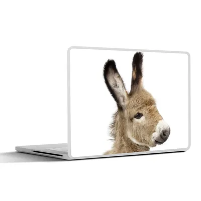 Produktbild von MuchoWow® Laptop Aufkleber Sticker Cover Esel - Braun - Tiere - Natur 25x18 cm - Laptop-Deko