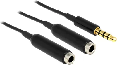 Zdjęcie produktu dla DeLOCK 65575, 3.5mm, Męska, 2 x 3.5mm, Żeńska, 0,25 m, Czarny