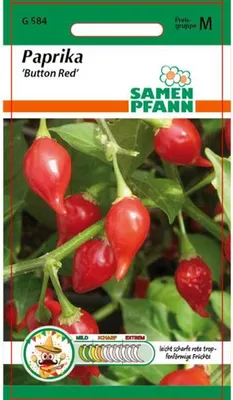Produktbild von Paprika Button Red | Paprikasamen von Samen Pfann