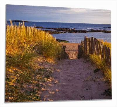 Produktbild von Wallario Herdabdeckplatte aus Glas, Größe 60 x 52 cm 2-teilig, Motiv Weg durch die Dünen zum Meer an der Küste
