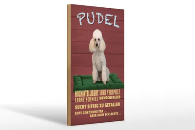 Produktbild von Holzschild Spruch 20x30cm Pudel hochintelligent lieb Hund
