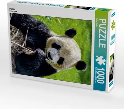 Produktbild von CALVENDO Puzzle Panda | 1000 Teile Lege-Größe 64x48cm Foto-Puzzle für glückliche Stunden