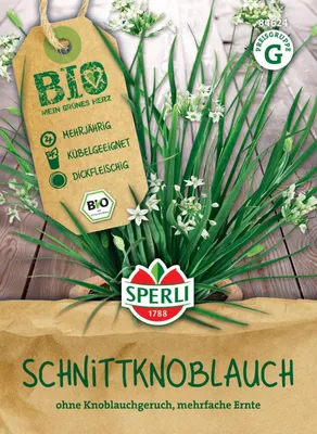 Produktbild von SPERLI  Samen Schnittknoblauch Allium tuberosum 1-2 lfd. Meter