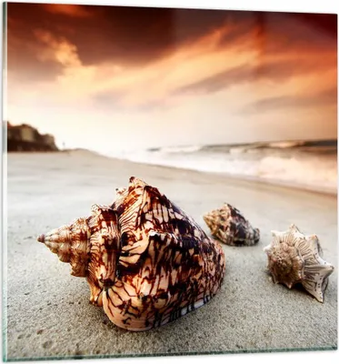 Produktbild von Bilder auf glas - Strand schön karibisch bunt - 60x60cm - Glasbilder - Wandbilder - Kunstdruck - zum Aufhängen bereit - Wanddekoration aus Glas - Glas Bilder - Wandbild auf Glas - GAC60x60-2123