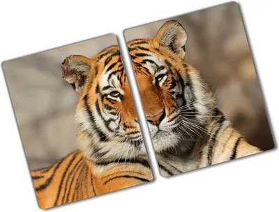 Produktbild von Tulup Glas Herdabdeckplatte - 2x40x52 cm - Glaskeramikkochfeld-Abdeckung Spritzschutz Glasabdeckplatte Kochplattenabdeckung und Schneidebrett - Zweiteilig - Tiere - Bengalischer Tiger - Orange
