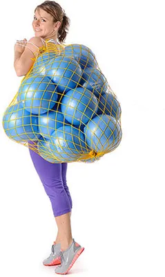 Produktbild von 16 Togu Redondo® Bälle 22cm Ø mit Ballnetz - blau