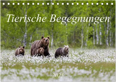 Produktbild von Tierische Begegnungen (Tischkalender 2025 DIN A5 quer), CALVENDO Monatskalender