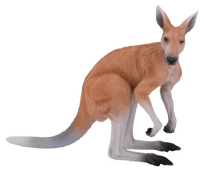 Zdjęcie produktu dla Mojo Fun Kangaroo, 3 lat(a), Wildlife, Brązowy, Biały, Polichlorek winylu (PVC)