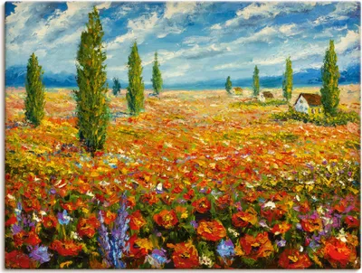 Produktbild von ARTland Leinwandbild Mohnblumenwiese Größe: 80x60 cm