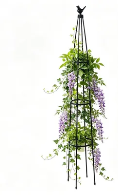Immagine prodotto di Graticcio in acciaio inossidabile per piante da giardino, ideale per piante rampicanti e ortaggi