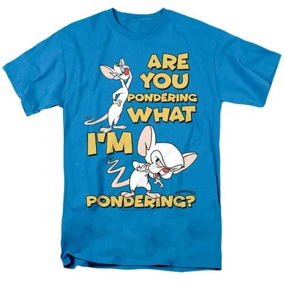 Image de T-shirt unie "Pinky et le Cerveau" - modèle "Réflexion" (TV40641) pour hommes/femmes (taille XL) - couleur turquoise