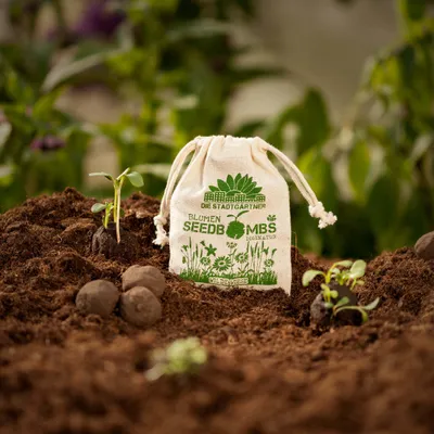 Produktbild von Die Stadtgärtner – Seedbombs 'Wilde Wiese' I 8 handgemachte Samenbomben mit 54 Arten von Blumen-Samen I Enthält u.a. Gänseblümchen, Kornnelken & Ringelblumen I 100% ökologisch & min. 2 Jahre haltbar