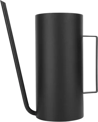Imagen del producto de Regadera de acero inoxidable con boquilla larga - 1,5 litros