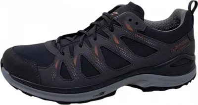 Produktbild von Lowa Innox Evo IIGTX Wanderschuh Grau