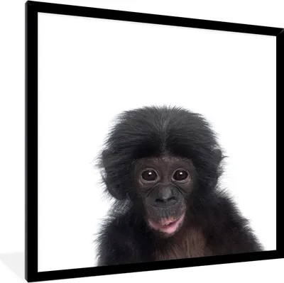 Produktbild von MuchoWow® Gerahmtes Poster Affe - Tiere - Schimpanse - Kind - Junge 40x40 cm - Poster mit Schwarzem Bilderrahmen Wandposter Rahmen Foto Bilder - Mit Rahmen - Wanddekoration Schlafzimmer