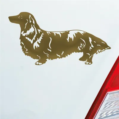 Produktbild von Auto Aufkleber Langhaar Dackel Dog Hund Low JDM 12x6 cm Gold Sticker Heckscheibenaufkleber
