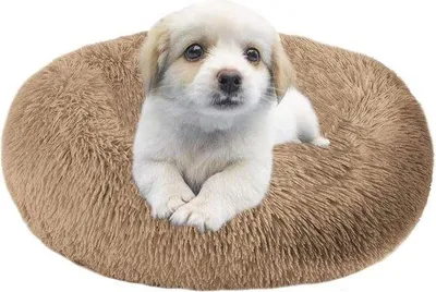 Produktbild von Luxus-Hundebett aus weichem Kunststoff