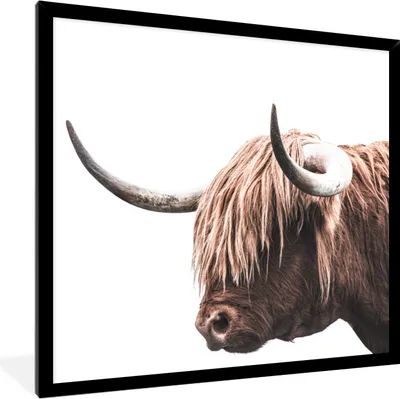 Produktbild von MuchoWow® MuchoWow® Gerahmtes Poster Schottisches Hochlandrind - Hörner 40x40 cm - Poster mit zchwarzem Bilderrahmen - Mit Rahmen - Wanddekoration Schlafzimmer