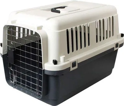 Produktbild von Tierspielzeug-Box Maat S 61x40x40cm Vielfarbig