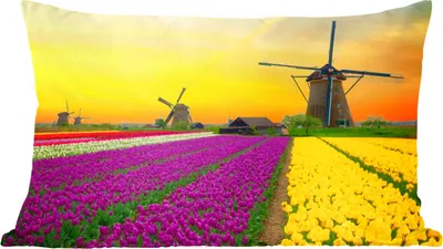 Produktbild von MuchoWow® Zierkissen Sofakissen Wohnzimmer Dekokissen 50x30 cm Windmühle - Tulpen - Blumen - Frühling - Wohnzimmerdekoration - Polster mit Photo