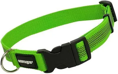 Produktbild von Mystique Gummiertes Halsband 55-65cm 25mm neon grün