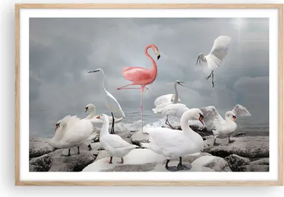 Produktbild von Gerahmtes Poster - Rahmen in heller Eiche - Flamingo Schwan Fantasie - 91,5x61 cm - Wand Bild - Wanddeko - Wandbilder - Kunstposter - Wandposter - Bilderrahmen - Bilder - Kunstdruck - P2NAA91x61-4929