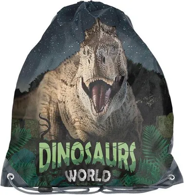 Productafbeelding van Kindergymtas 36 x 32 cm - Dinosaurus Design - Sporttas voor Kinderen